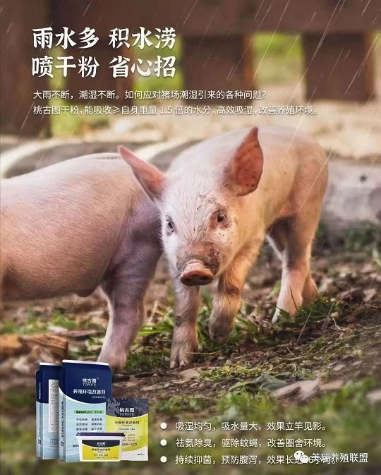 XPJ(中国区)有限公司